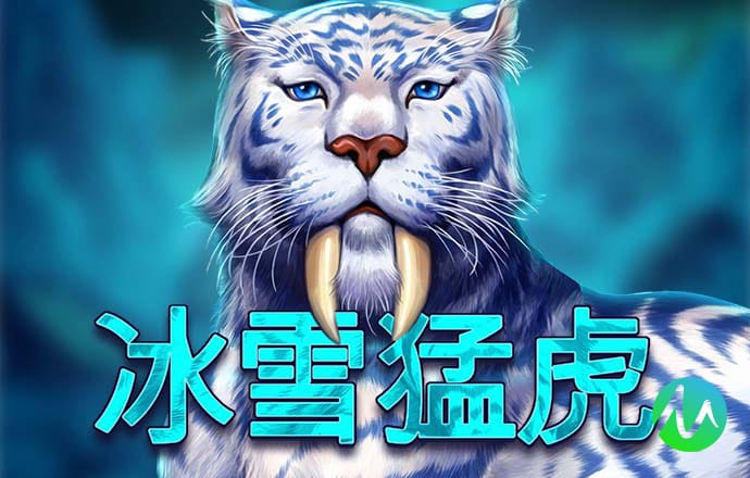 168精准计划网